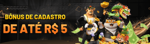 559x Plataforma